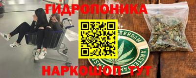 винт Сланцы