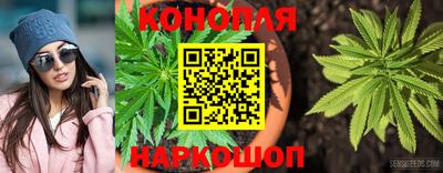 винт Сланцы
