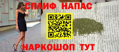 СК Славянск-на-Кубани
