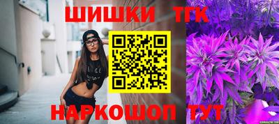 винт Сланцы