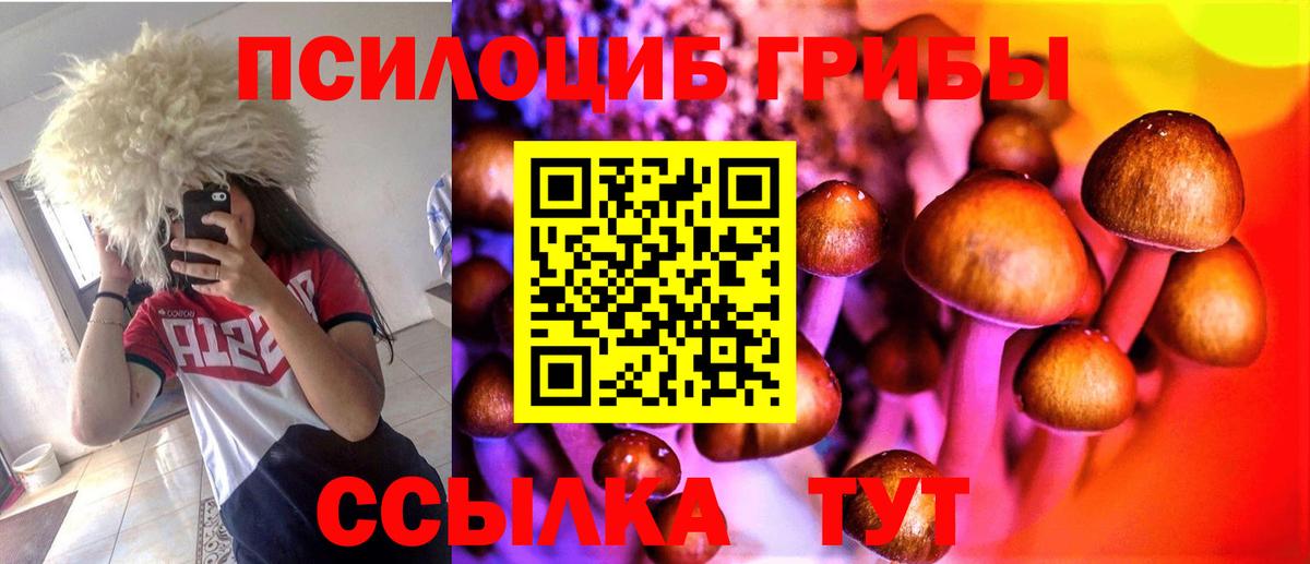 Ачинск  Псилоцибиновые грибы Psilocybe  Вход с VPN 