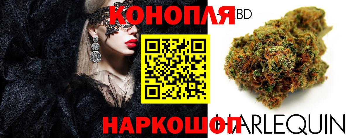 Конопля MAZAR Ачинск